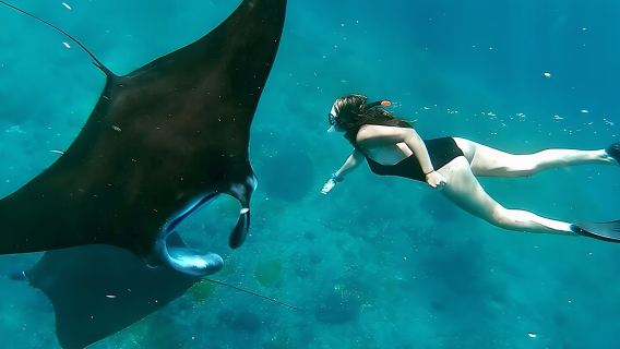 Snorkeling In Nusa Penida Departing From Bali Island
