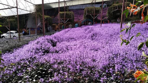 馬登巴冷縣日遊