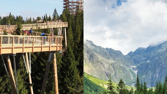 จากคราคูฟ: สโลวาเกีย Treetop Walk Bachledka และ Zakopane