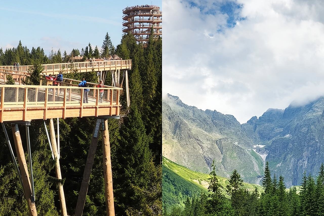 From Kraków: Slovakia Treetop Walk Bachledka and Zakopane