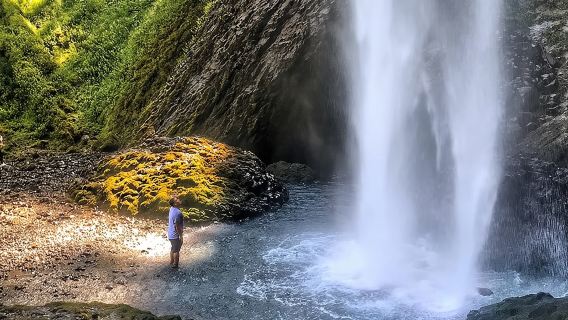 Multnomah Falls and Columbia River Gorge Half-Day Hiking Tour