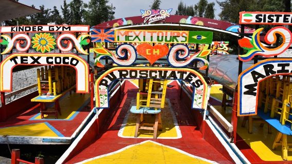 Xochimilco, University City & Coyoacan: Day Trip from Mexico City