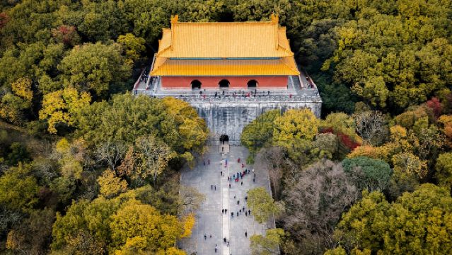 南京明孝陵半日遊【精品遊】【深層次2H】【私家團】【含門票】