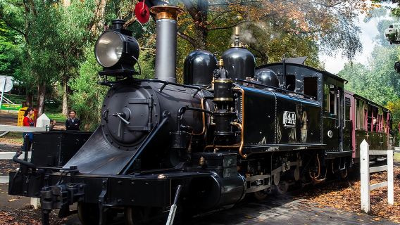 Puffing Billy And Phillip Island Penguin Parade Bus Tour