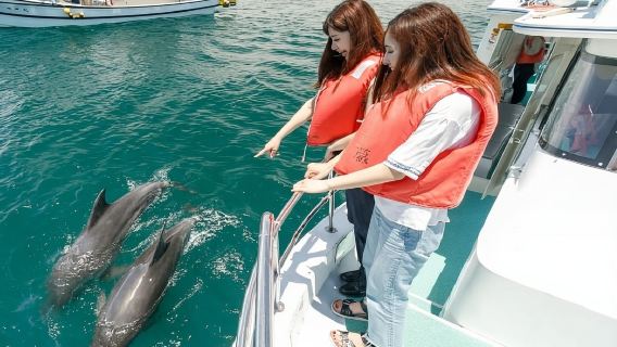 Muscat Dolphin Chase/Snorkeling Adventure