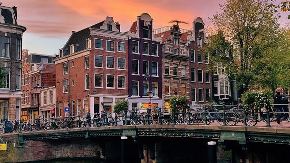 Famous painters Amsterdam private walking tour