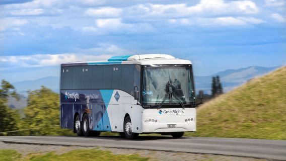 Tour di un giorno al GreatSight Glowworm Hobbiton in Nuova Zelanda - Andata e ritorno da Auckland