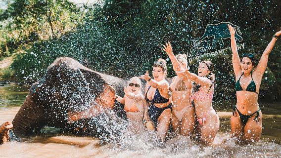 ท่องเที่ยวประเทศไทย กระบี่ บ้านอนุรักษ์ช้าง แคมป์ช้าง ทัวร์ครึ่งวัน อาบน้ำช้าง ให้อาหาร ปฏิสัมพันธ์ระหว่างพ่อแม่และลูก