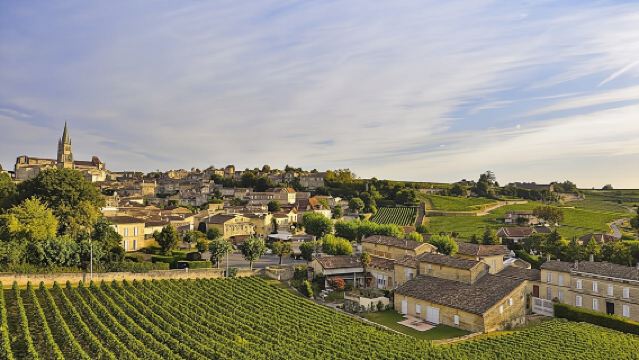 Full-day wine tour with lunch in Saint-Emilion from Bordeaux