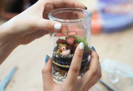 Rainforest Terrarium Workshop in Singapore by J2 Terrarium