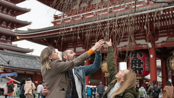 Tokyo Top 10 Highlights & Hidden Gems Private Tour with a Local