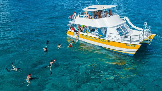 Afternoon Half Day Cruise from Providenciales with Snorkeling and Iguana Island