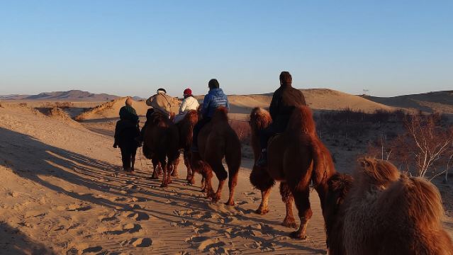 Tour de 1 día por el Semi-Gobi todo incluido