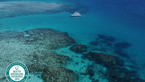 Mission Beach: Small Group | Outer Reef Snorkel & Dunk Island