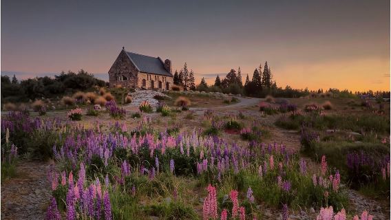 クライストチャーチ&アオラキ / マウントクック&テカポ少人数ガイドツアー【クライストチャーチ発/クイーンズタウン着】