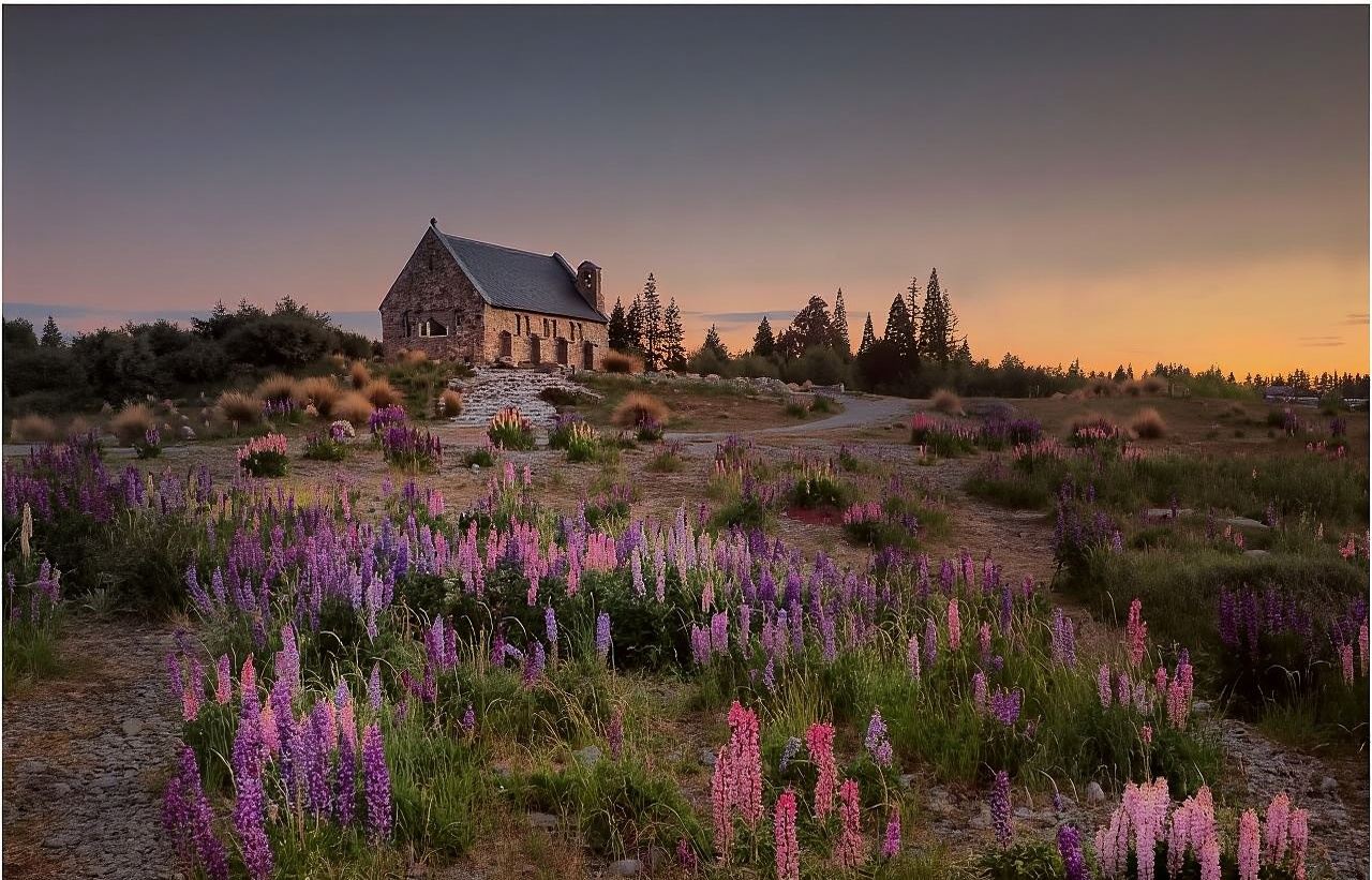 Christchurch & Aoraki / Mount Cook & Tekapo Small Group Tour [Starts in Christchurch / Ends in Queenstown]