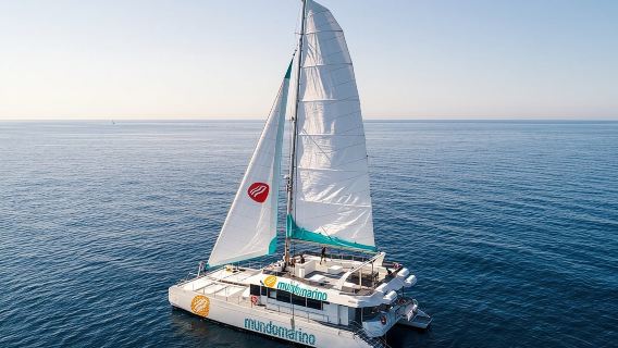 Voile en catamaran dans la baie de Malaga