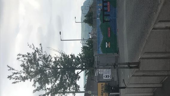 Belfast politiske & malerier tur