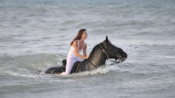 Soma Bay: Horse Riding Beach and Desert Tour With Transfer