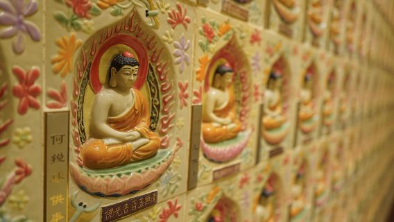 Hong Kong: Gran Buda y recorrido por la isla de Lantau con teleférico