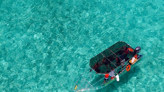 Cancún: Paseo en barco transparente por la Laguna Nichupté con bebidas