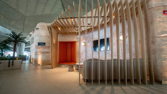 Jordania Ammán: Acceso a la sala VIP premium del Aeropuerto Reina Alia (AMM)