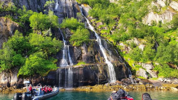 Von Svolvær: RIB-Boot Lofoten Trollfjord Seeadler-Safari