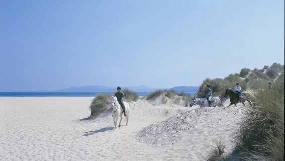 Westport: Chuyến đi cưỡi ngựa có hướng dẫn trên bãi biển và vùng nông thôn