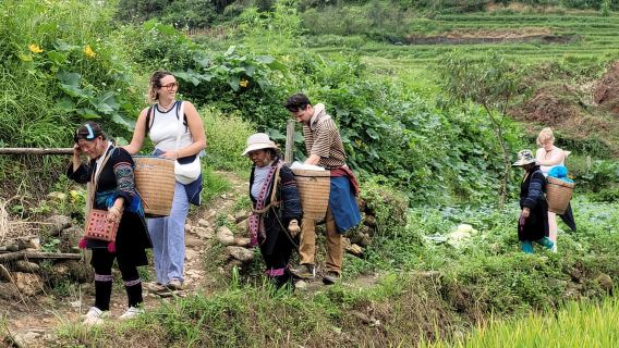 Sapa: Khám phá bí quyết tắm lá thuốc của người Dao Đỏ