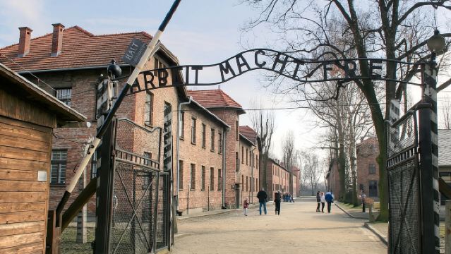 Guided Tour Krakow to Auschwitz-Birkenau with pickup options