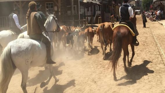 Sioux City Park Ticket