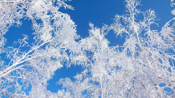 漠河+北極村3日2晚私家團