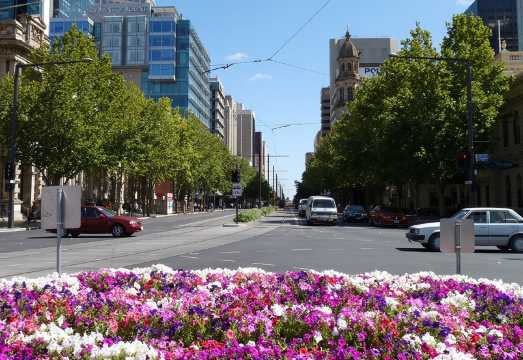 Best of Adelaide- City Highlights (half-day Tour) AUD 131.36