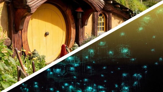 Hobbiton & Waitomo Caves Day Tour with Lunch from Auckland