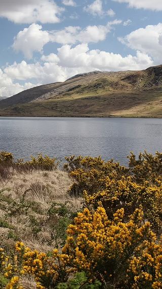 1-day tour to Connemara National Park in Ireland | Optional activities | Round-trip from Galway