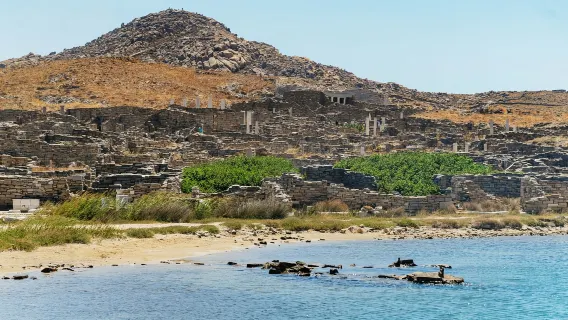 Tur setengah hari ke Situs Arkeologi Delos dari Pulau Mykonos, Yunani, termasuk tiket kapal pulang pergi + tiket masuk