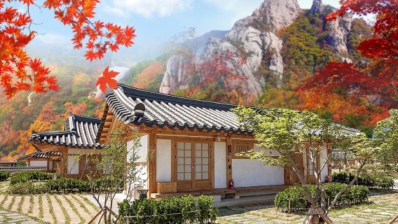 江陵秋季限定賞楓韓屋體驗兩天一夜團