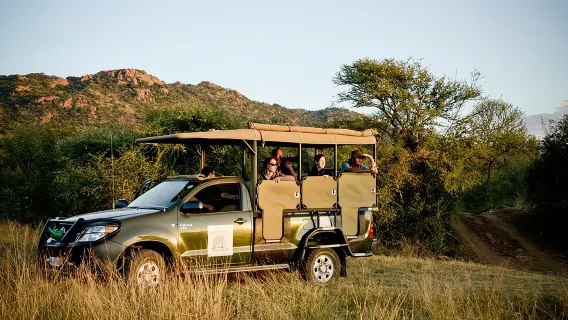 Safari de día completo al Parque Nacional Pilanesberg desde Johannesburgo o Pretoria