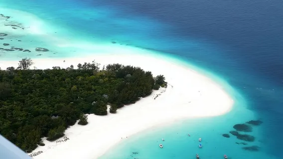 Tour di mezza giornata con avvistamento delfini e snorkeling nell'isola di Mnemba, Zanzibar