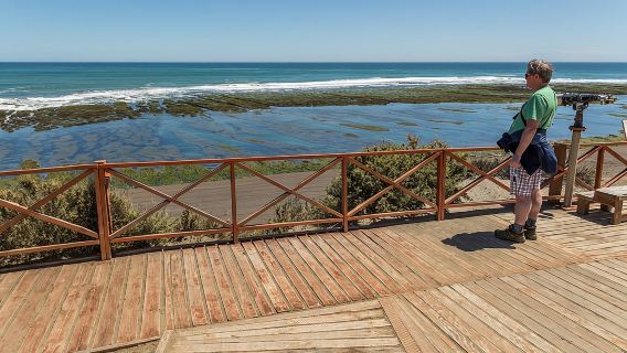 Shore Excursion Peninsula Valdes or Punta Tombo - Private Car
