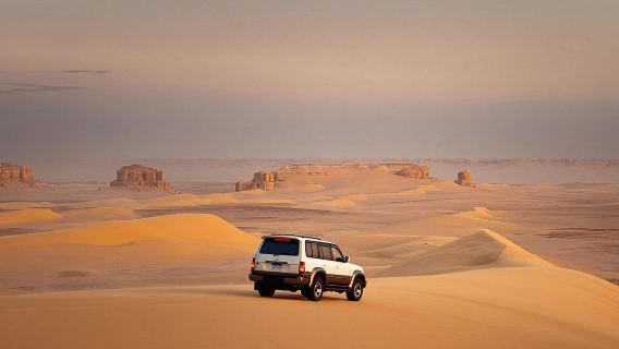 Wadi El Rayan: 4X4 Desert Safari, Sandboarding & Camel Ride from Cairo or Giza