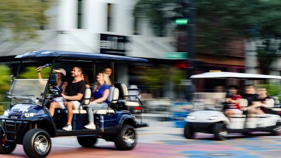 Guided St. Pete Sightseeing Tour in Deluxe Street Legal Golf Cart