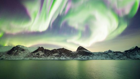 ทัวร์วันเดียว/ทัวร์หลายวัน ที่นอร์เวย์ + เกาะเซนจา + ประภาคารฮูซอย