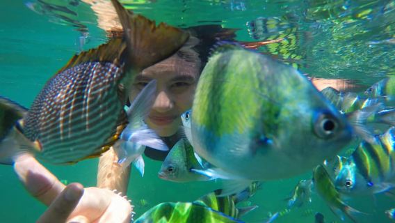 Hong Islands Adventure One Day by Longtail Boat from Krabi