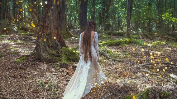 Giornata intera nella Terra di Mezzo - Tour del Signore degli Anelli