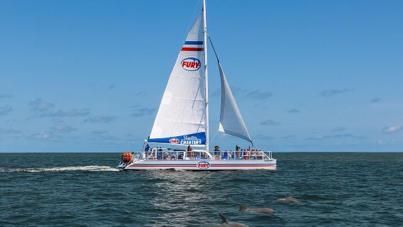 St. Augustine Dolphin Watch and Historical Harbor Sail