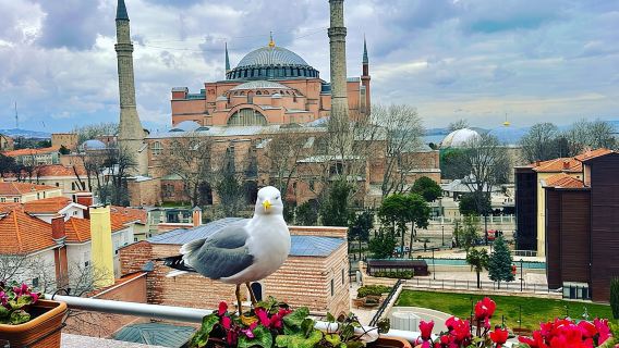 IstanbulTours