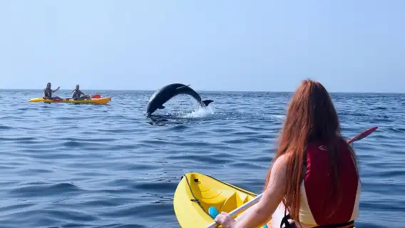 Kayaking with Dolphins and Turtles and Snorkelling in Tenerife