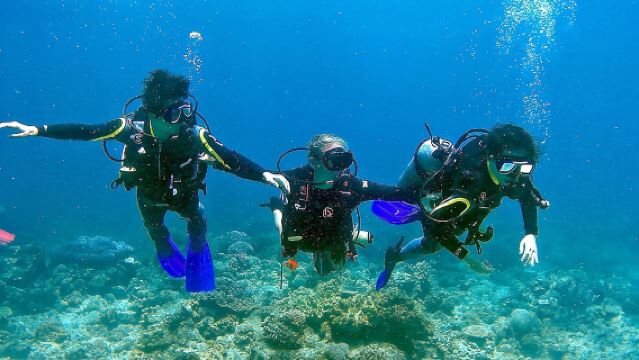 Scuba Diving for Beginners in Pula