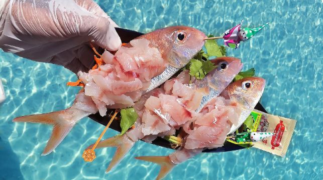 芭堤雅海釣包船出海釣魚專業釣魚船休閒釣魚專業船長